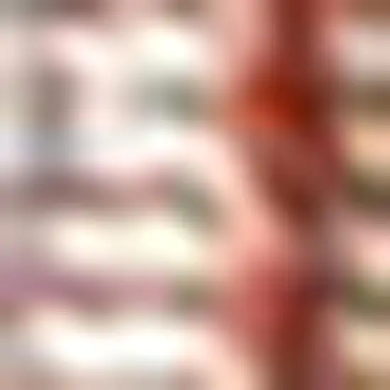 8' Red And Taupe Medallion Indoor Outdoor Runner Rug Photo 2