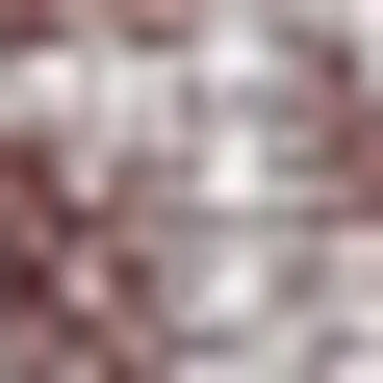 9' Red And Taupe Square Medallion Indoor Outdoor Area Rug Photo 2