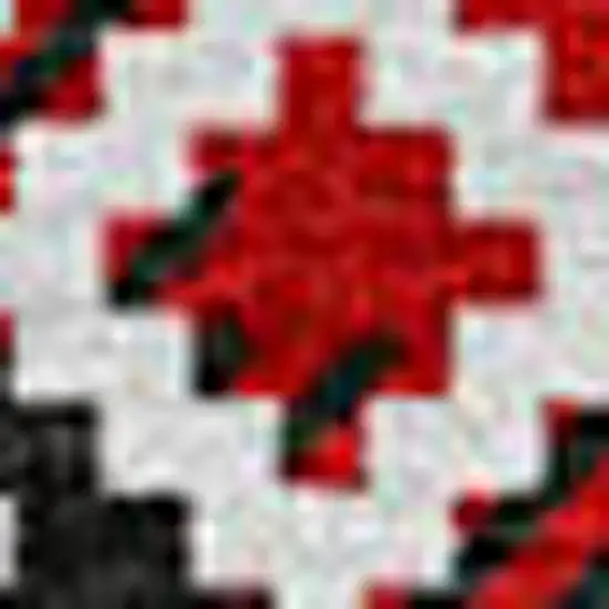 8' Red Black And Ivory Round Animal Print Washable Indoor Outdoor Area Rug Photo 3