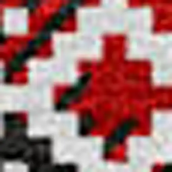 8' Red Black And Ivory Round Animal Print Washable Indoor Outdoor Area Rug Photo 8