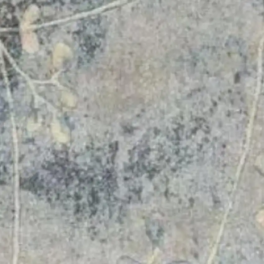 6' Blue Floral Runner Rug Photo 3