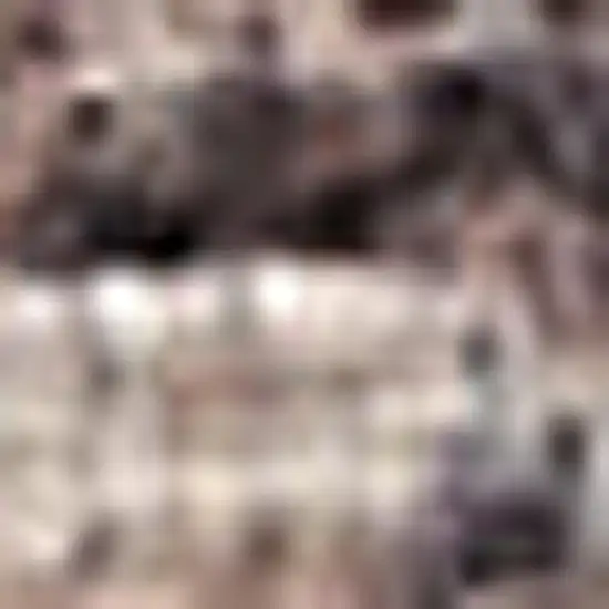 6' Tan Abstract Runner Rug Photo 3