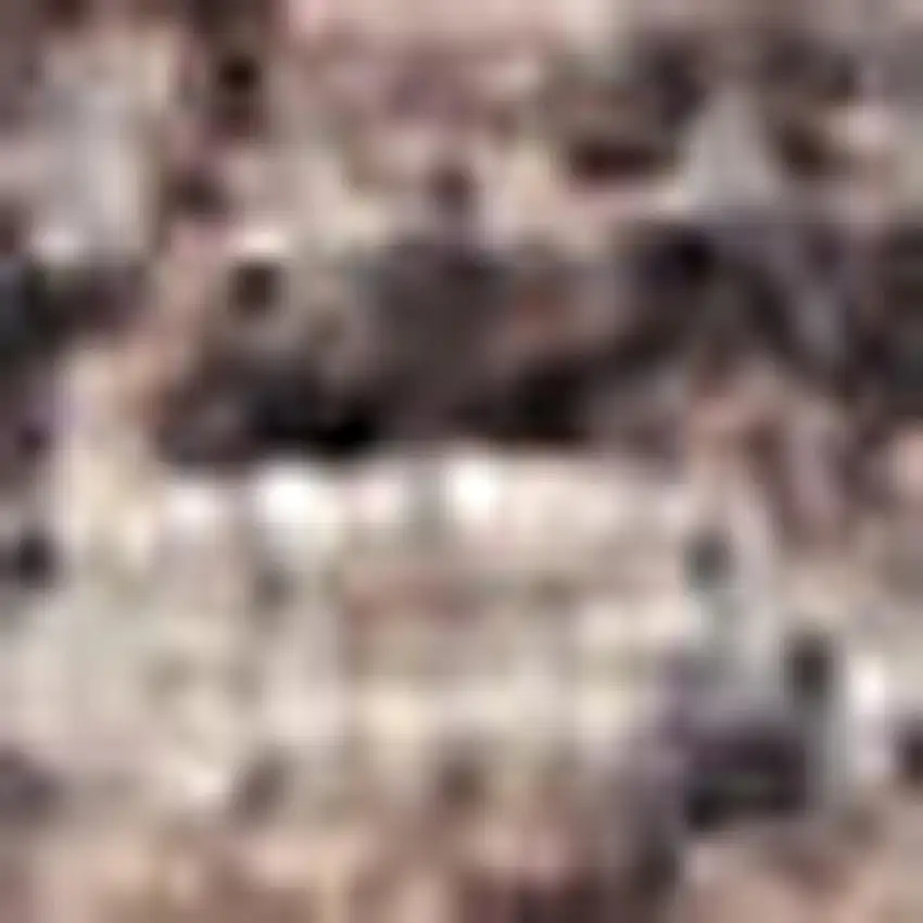 6' Tan Abstract Runner Rug Photo 4