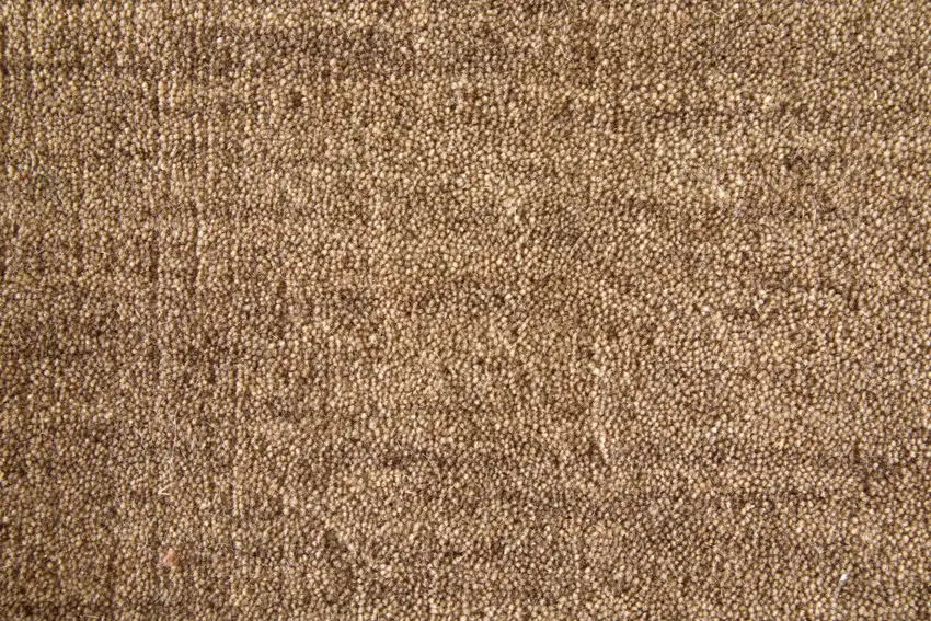 8' Tan Wool Hand Woven Area Rug Photo 9