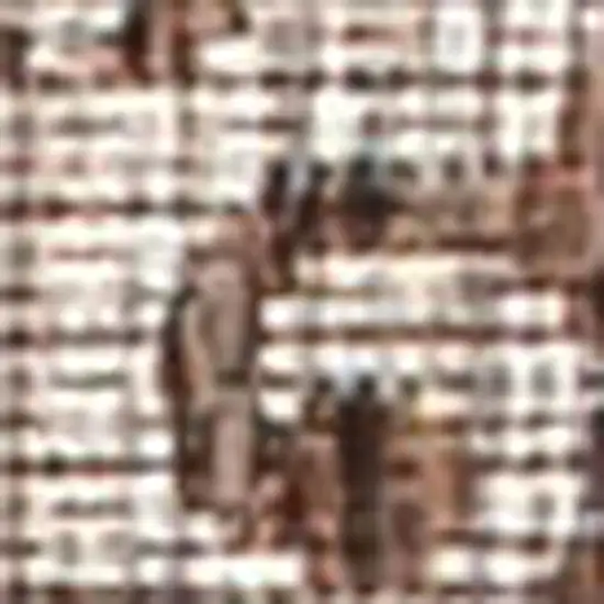 8' Taupe And Espresso Geometric Indoor Outdoor Runner Rug Photo 2