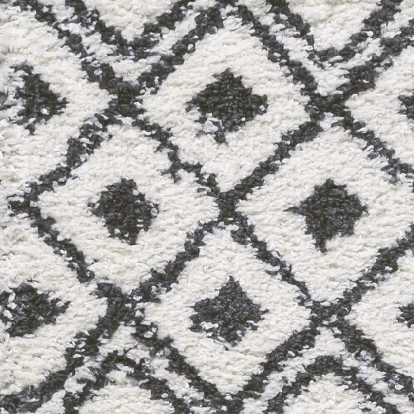 10' Trellis Runner Rug Photo 4