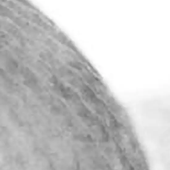 8' White Runner Rug With Fringe Photo 3