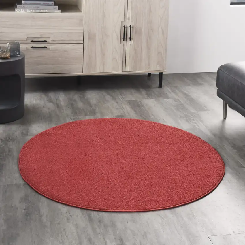 4' Brick Red Round Indoor Outdoor Area Rug Photo 5