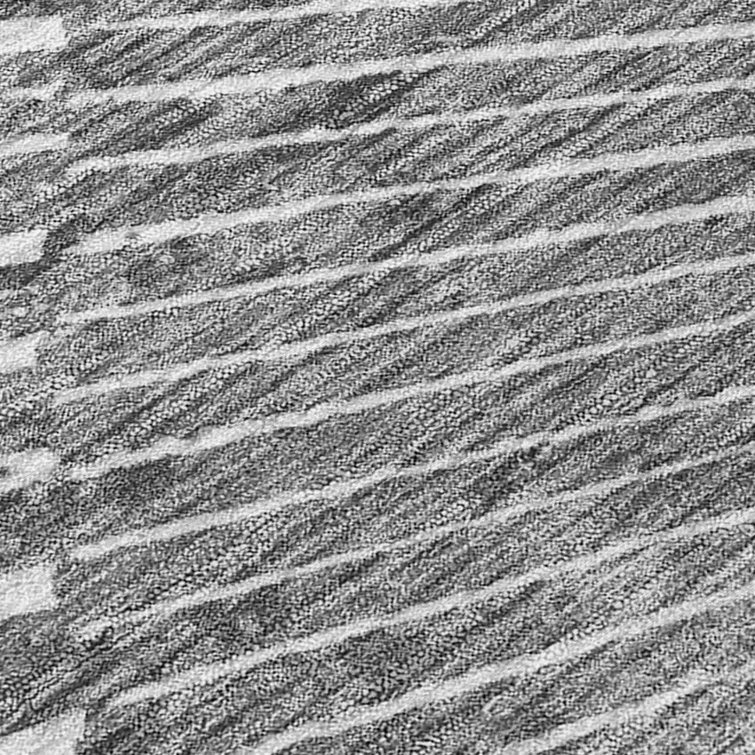 Gray and Ivory Abstract Washable Non Skid Indoor Outdoor Area Rug Photo 8