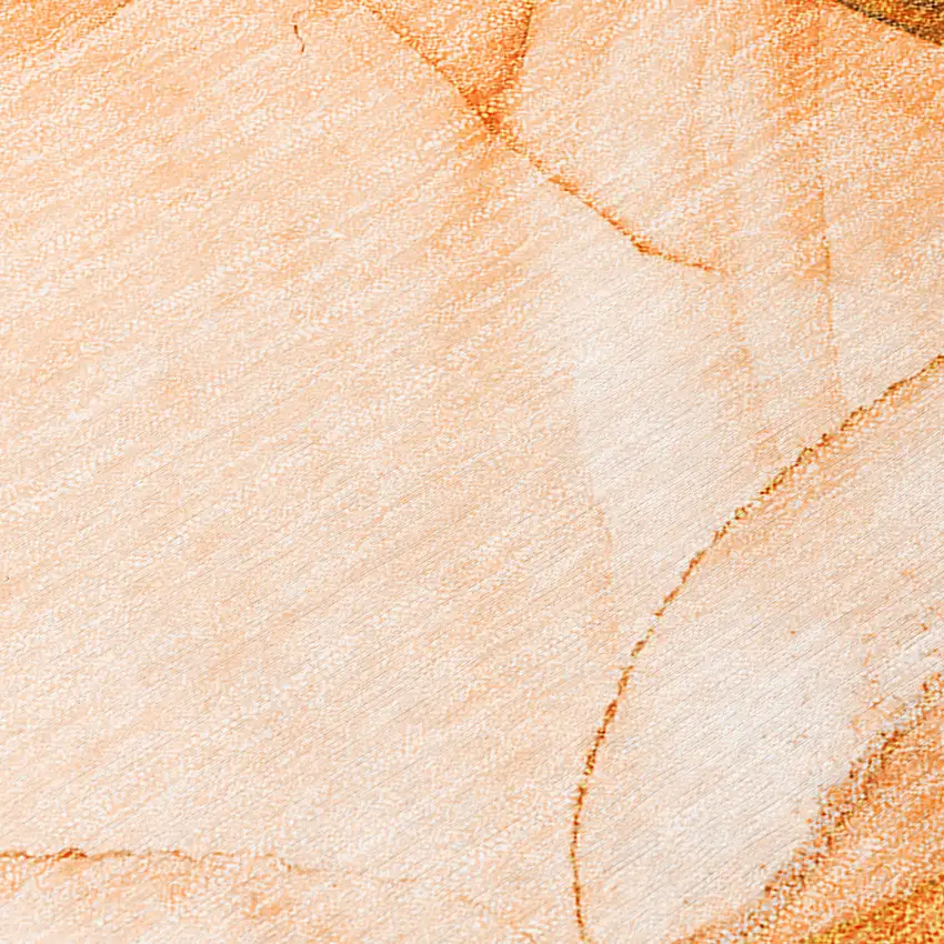 Orange Abstract Washable Non Skid Indoor Outdoor Area Rug Photo 8