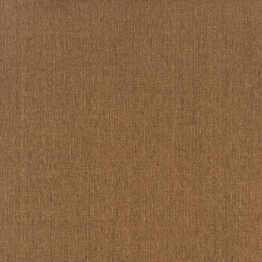 3' X 5' Tan Stain Resistant Indoor Outdoor Area Rug Photo 3