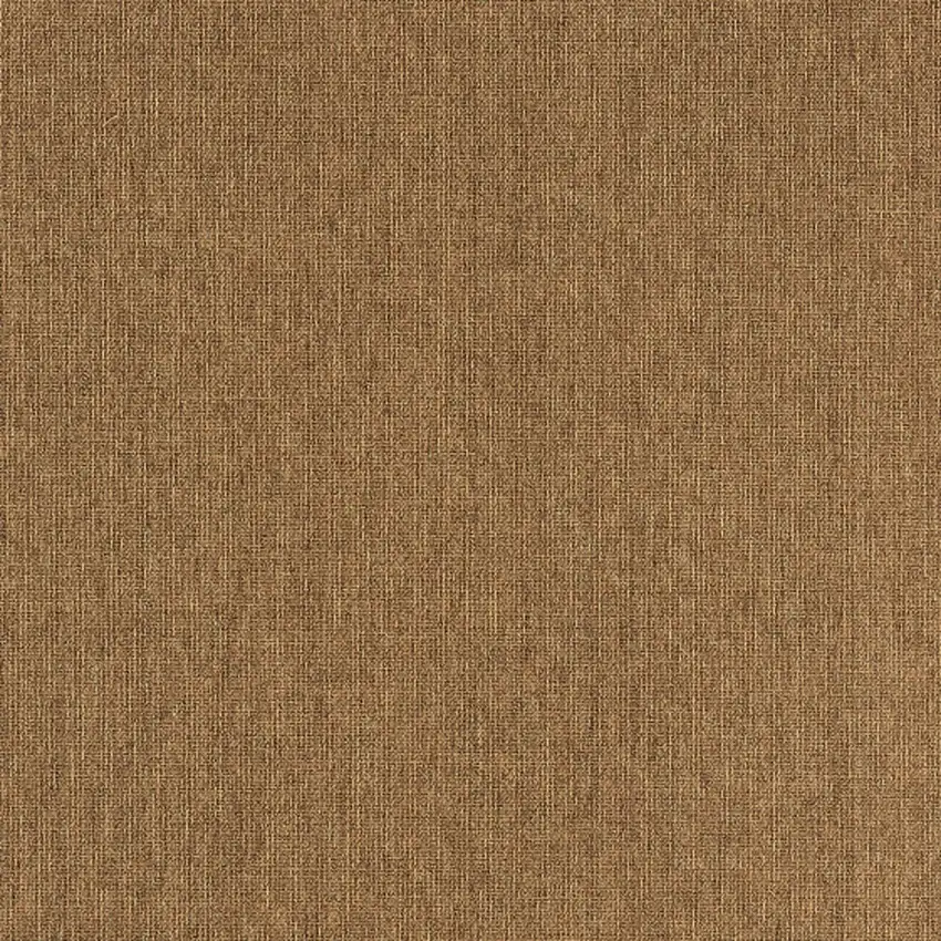 Tan Stain Resistant Indoor Outdoor Area Rug Photo 2