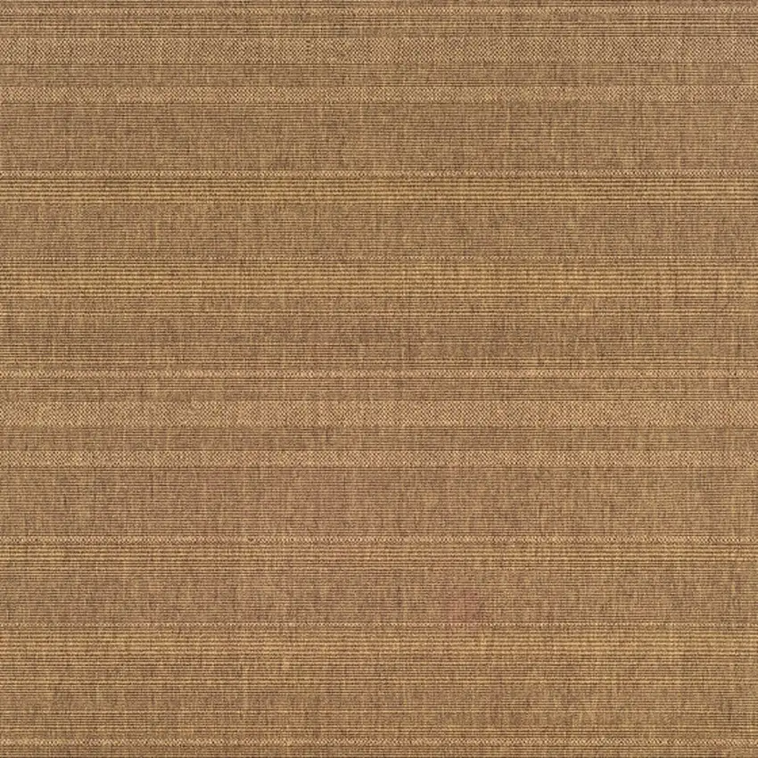 Tan Stain Resistant Indoor Outdoor Area Rug Photo 3