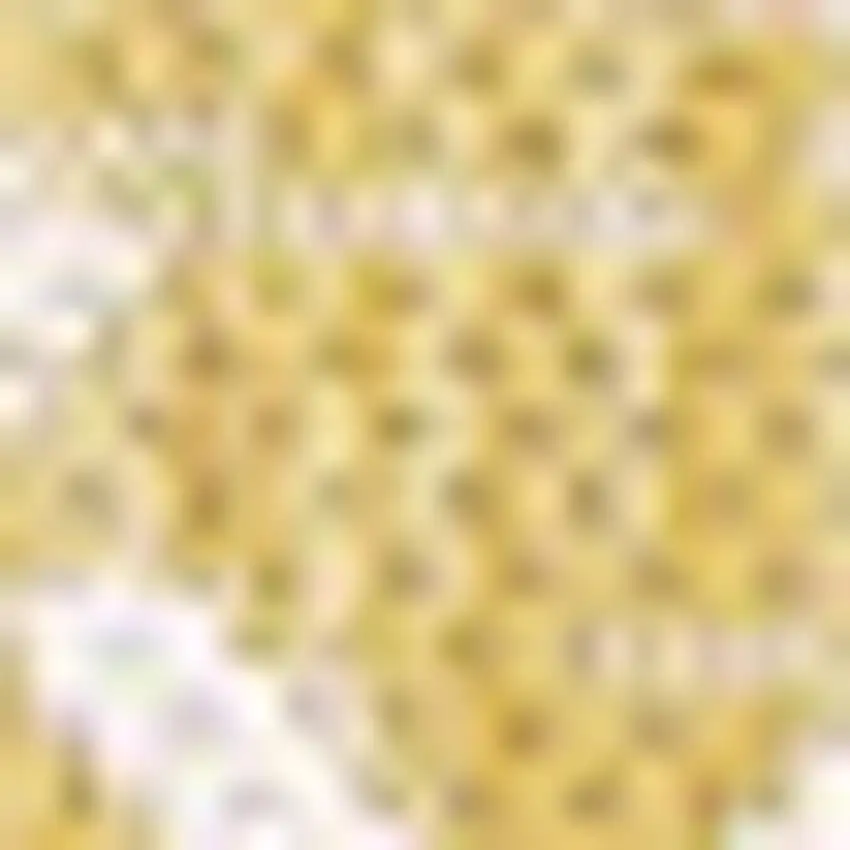 5' Yellow And Cream Square Trellis Indoor Outdoor Area Rug Photo 2