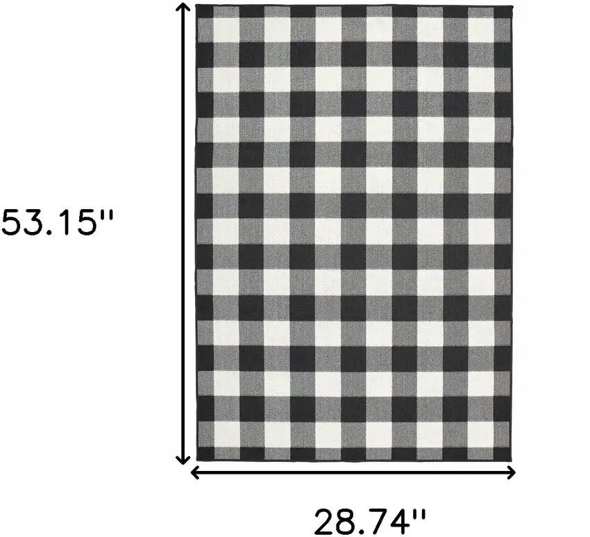 Black and Ivory Indoor Outdoor Area Rug Photo 9