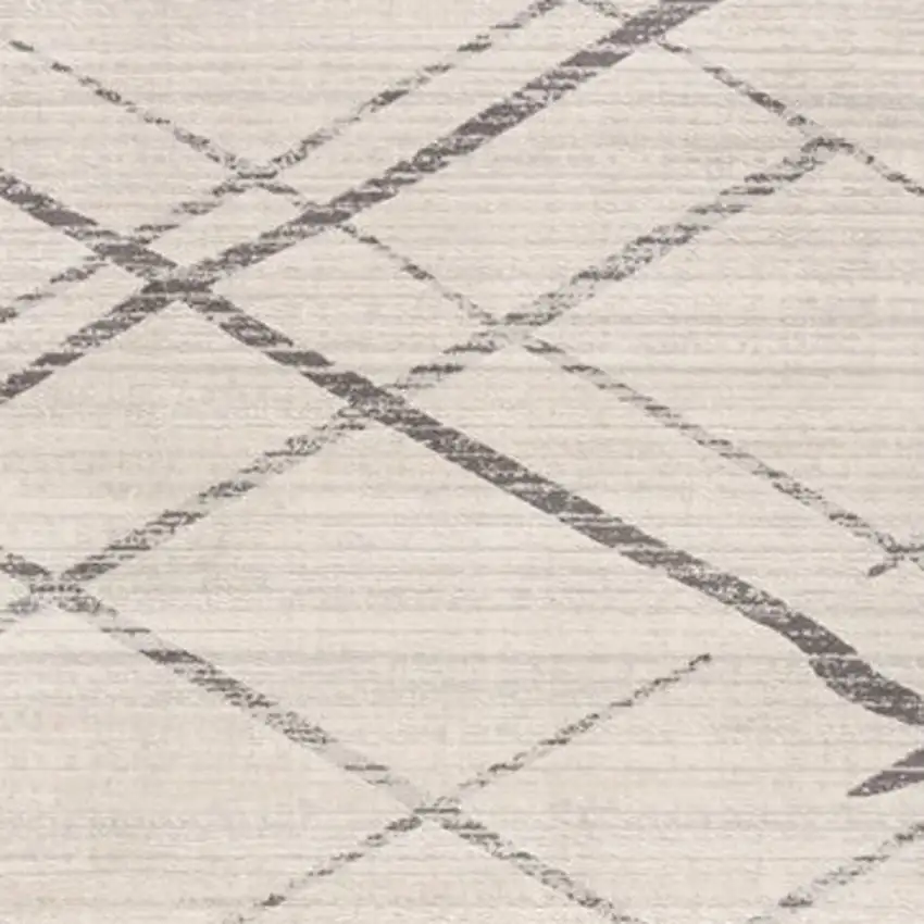 Gray Modern Abstract Pattern Area Rug Photo 3