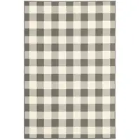 Photo of 4'x6' Gray and Ivory Gingham Indoor Outdoor Area Rug