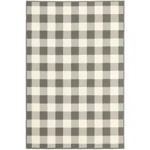 Photo of 4'x6' Gray and Ivory Gingham Indoor Outdoor Area Rug