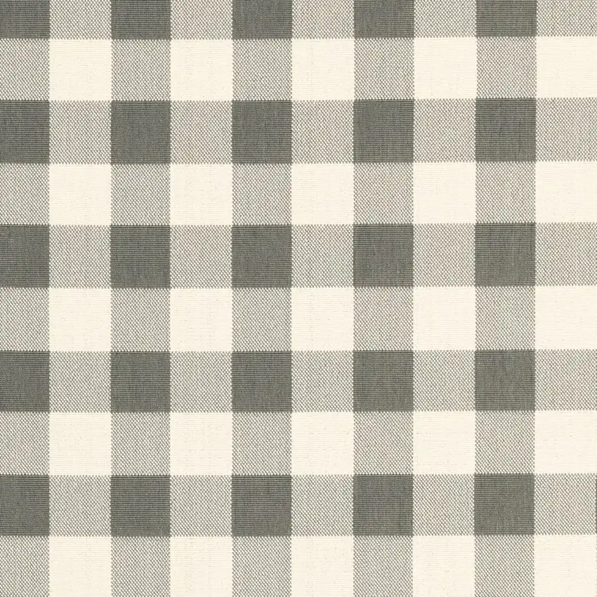 4'x6' Gray and Ivory Gingham Indoor Outdoor Area Rug Photo 5