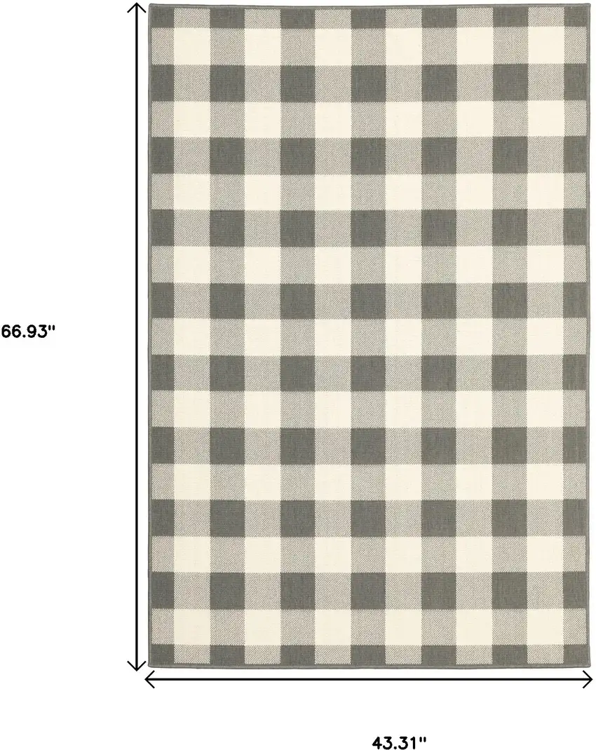 4'x6' Gray and Ivory Gingham Indoor Outdoor Area Rug Photo 7