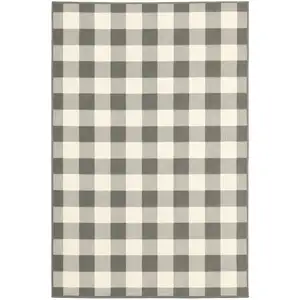 Photo of 8'x11' Gray and Ivory Gingham Indoor Outdoor Area Rug