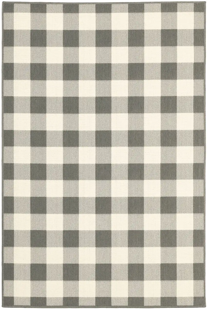 2'x4' Gray and Ivory Gingham Indoor Outdoor Area Rug Photo 1