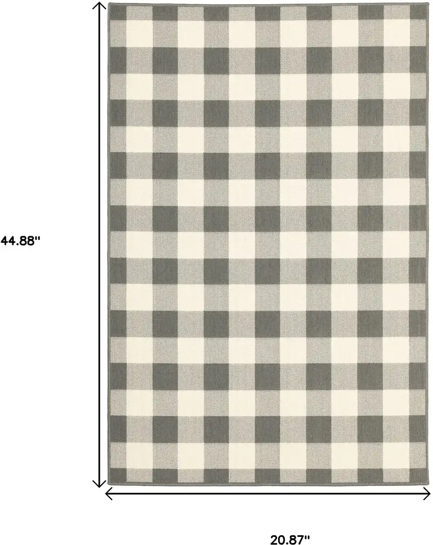2'x4' Gray and Ivory Gingham Indoor Outdoor Area Rug Photo 6
