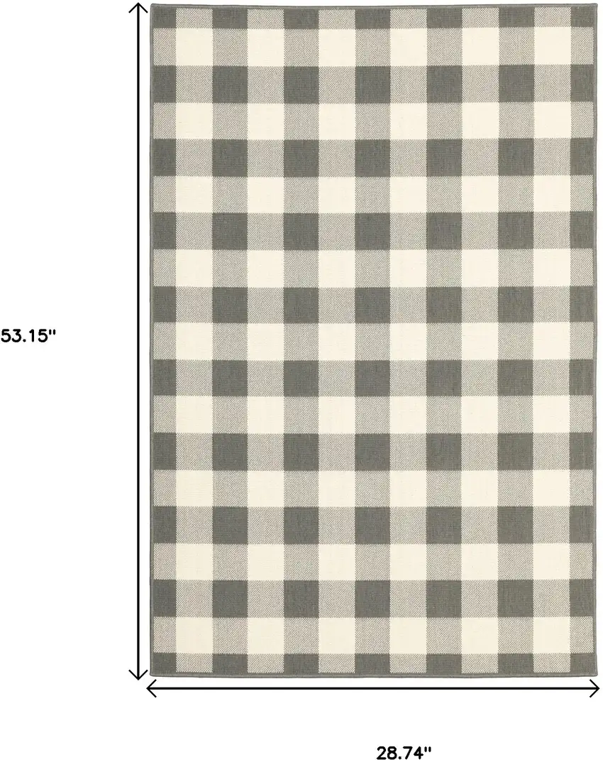 3'x5' Gray and Ivory Gingham Indoor Outdoor Area Rug Photo 7