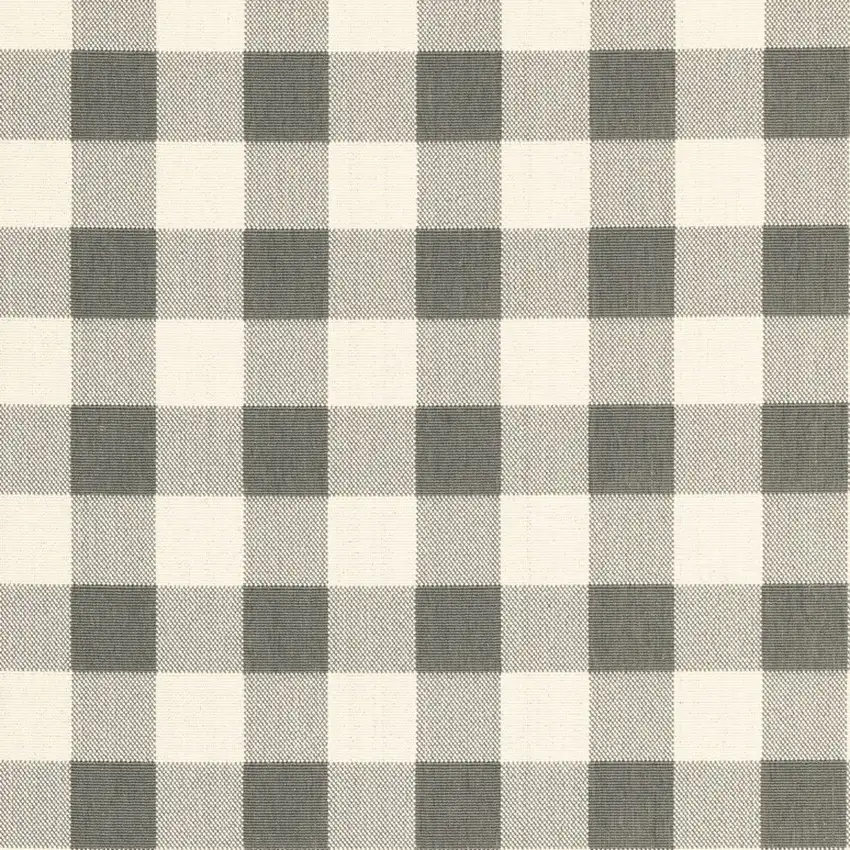 3'x5' Gray and Ivory Gingham Indoor Outdoor Area Rug Photo 5