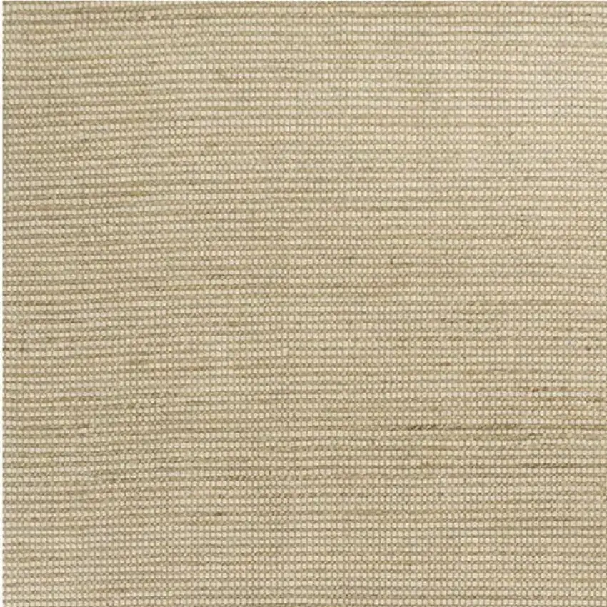 Tan And Ivory Hand Woven Area Rug Photo 4