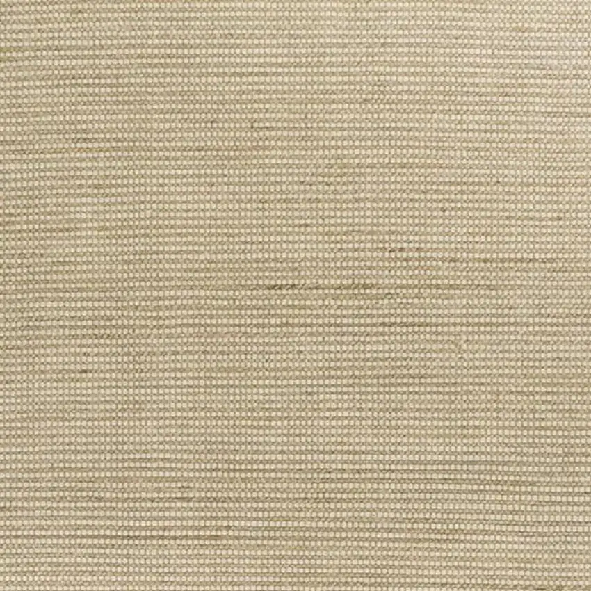 Tan And Ivory Hand Woven Area Rug Photo 3