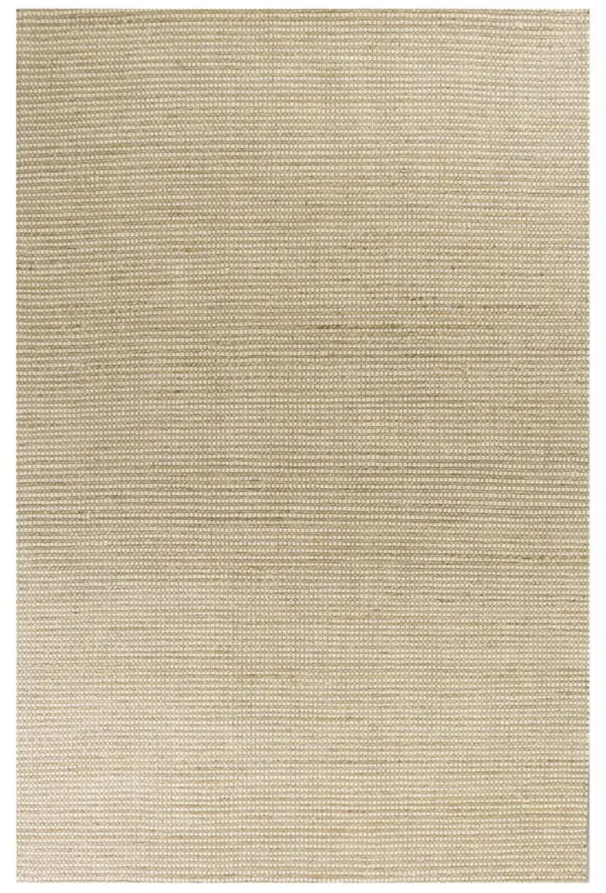 Tan And Ivory Hand Woven Area Rug Photo 1