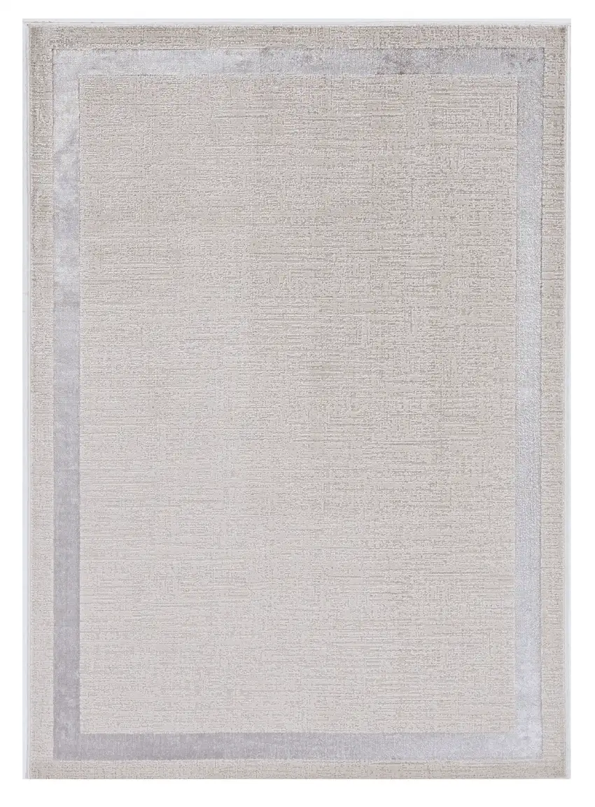 Ivory Silver Machine Woven Bordered Indoor Area Rug Photo 2