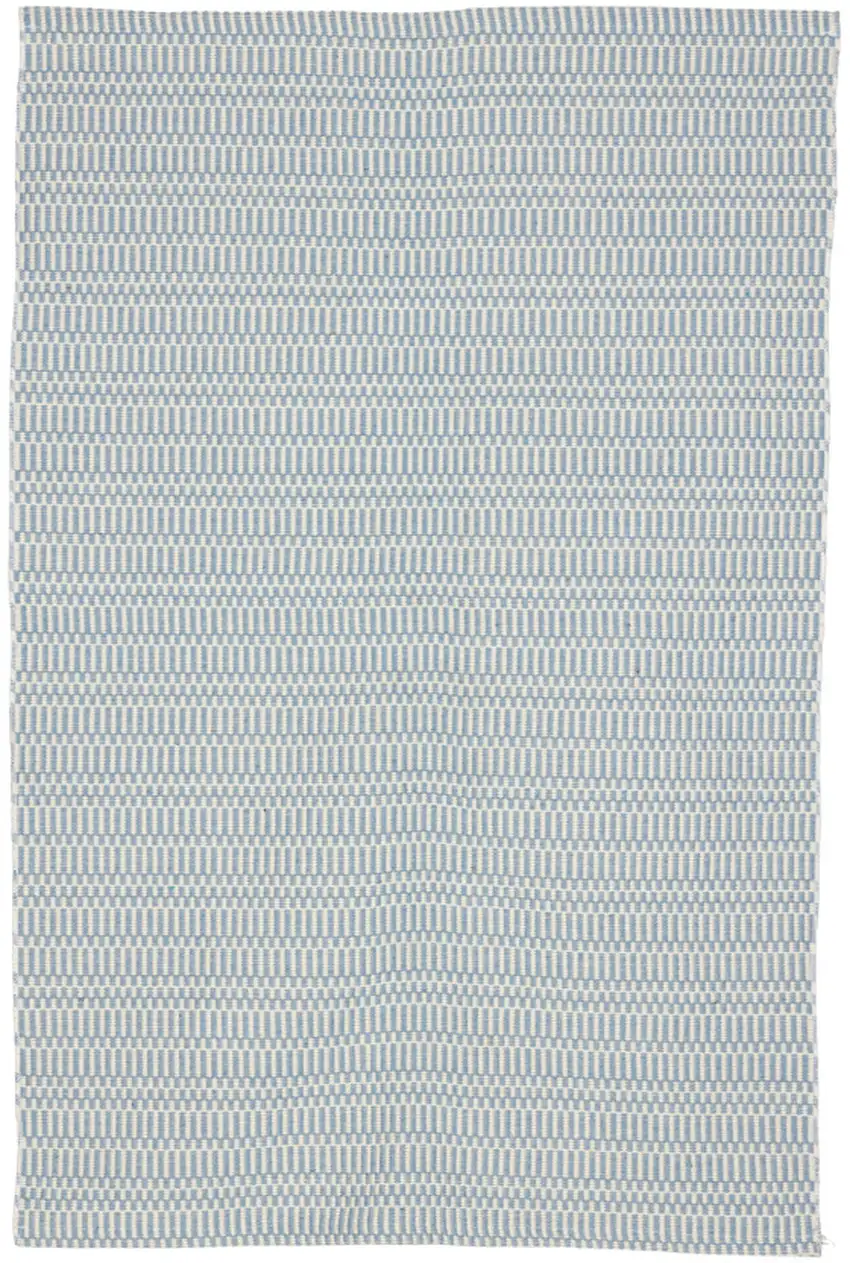 2'x 3' Pale Blue Checkered Hand Woven Area Rug Photo 1