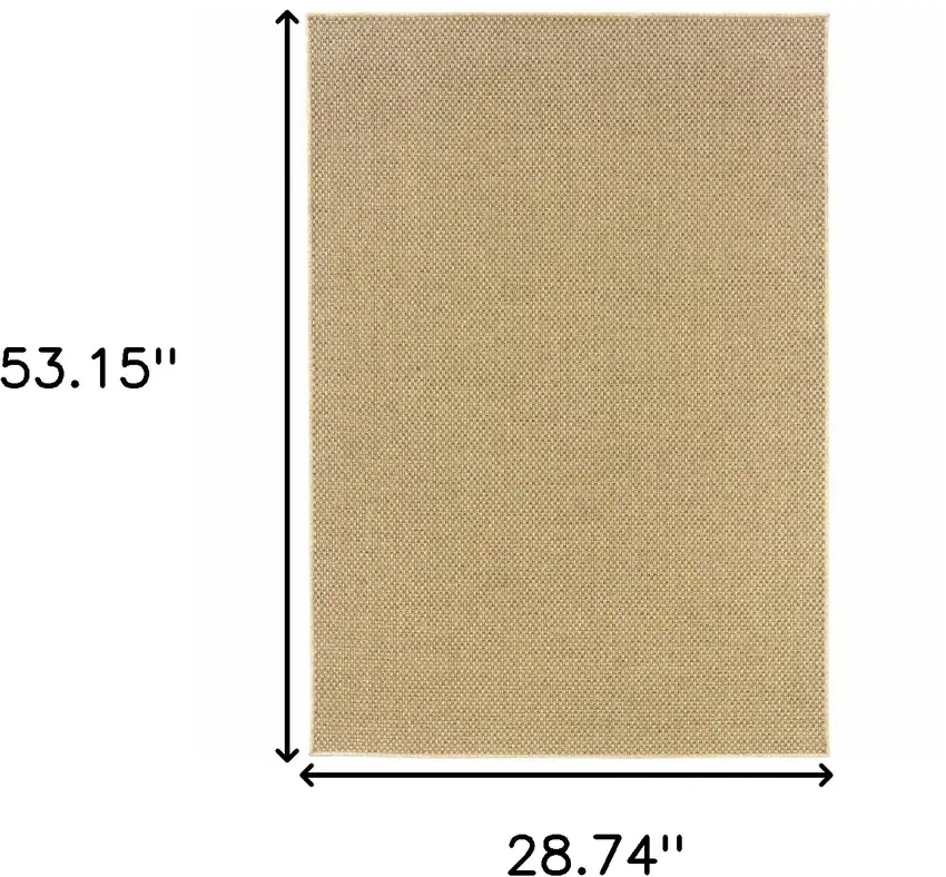 Beige Indoor Outdoor Area Rug Photo 4