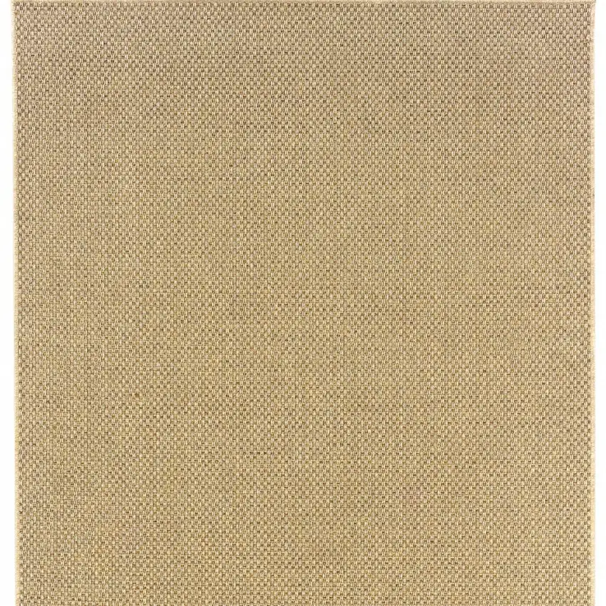 Beige Indoor Outdoor Area Rug Photo 7