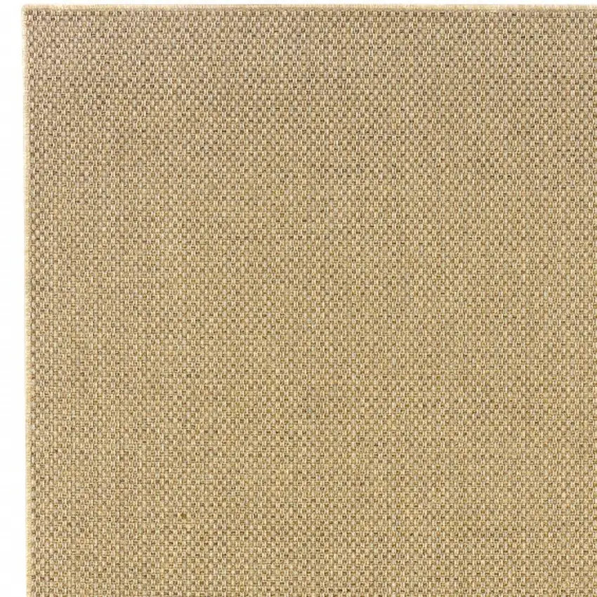 Beige Indoor Outdoor Area Rug Photo 6