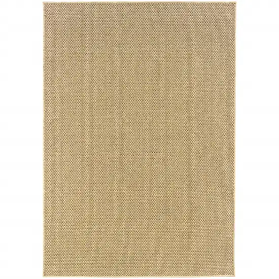 Beige Indoor Outdoor Area Rug Photo 7