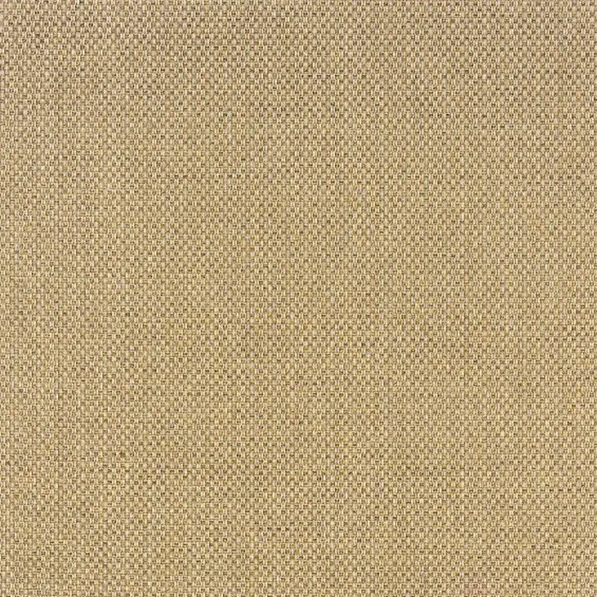 Beige Indoor Outdoor Area Rug Photo 6