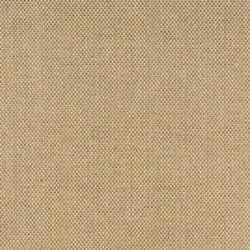 Beige Indoor Outdoor Area Rug Photo 6