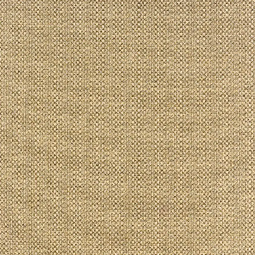 Beige Indoor Outdoor Area Rug Photo 6