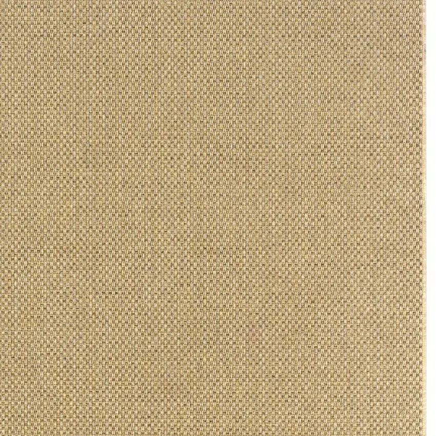 Beige Indoor Outdoor Area Rug Photo 6