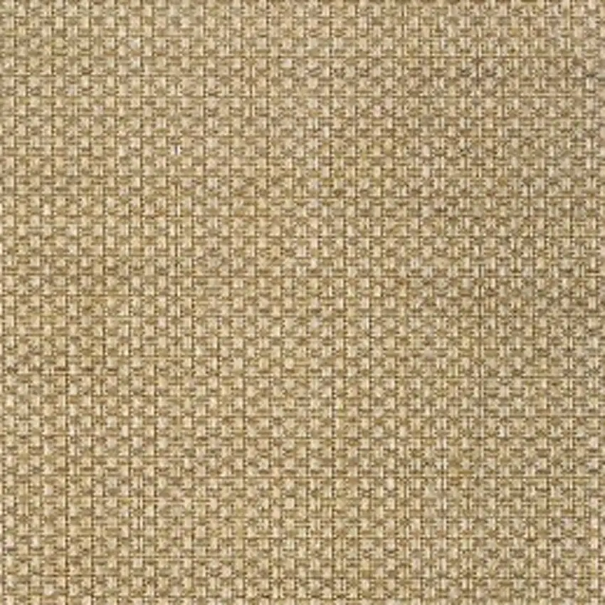Beige Indoor Outdoor Area Rug Photo 7
