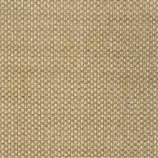 Beige Indoor Outdoor Area Rug Photo 7