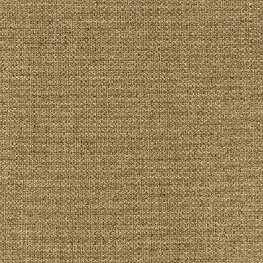 3'x5' Solid Tan Indoor Outdoor Area Rug Photo 10