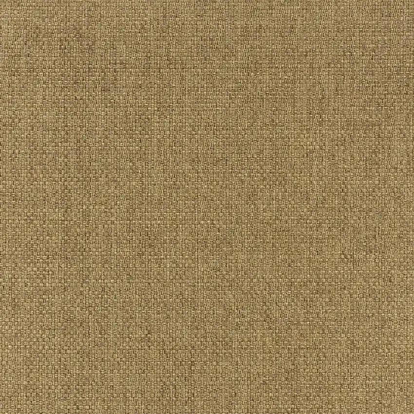 5'x8' Solid Tan Indoor Outdoor Area Rug Photo 10