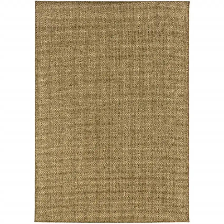 Tan Indoor Outdoor Area Rug Photo 4