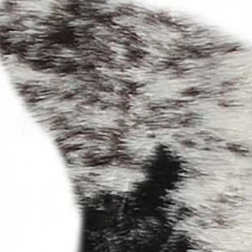 Black And White Faux Fur Animal Print Cowhide Washable Area Rug Photo 5