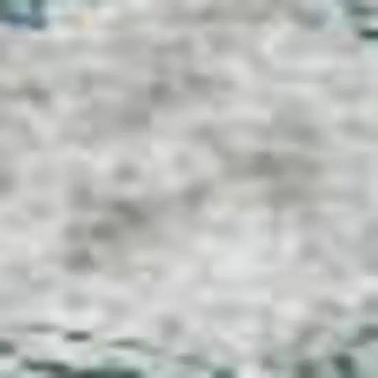 Aqua Beige And Taupe Floral Washable Area Rug With UV Protection Photo 2