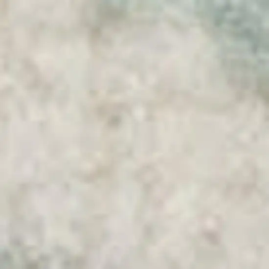 Aqua Floral Power Loom Area Rug Photo 1